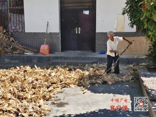 房县青峰镇：金秋农忙绘新景 党群同心促丰收