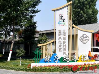 解码“小镇冠军”｜当工业遇上旅游，陶庄镇凭借“啤酒+辣子鸡”解锁跨界融合新风景