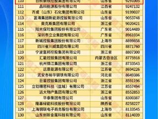 厉害了！日照钢铁上榜2025中国民营企业500强