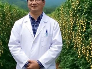 雪蓝朵明日叶纳豆片：从科研突破到产品落地的创新实践与价值传承