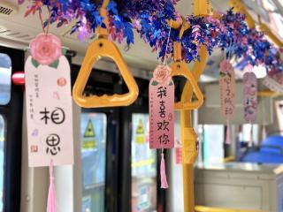 七夕主题公交穿梭青岛 浪漫车厢传递家国温情