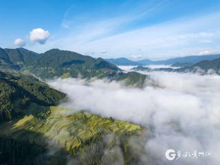 【高清组图】贵州从江：月亮山现云海奇观