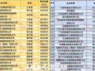 连续三年排名稳步提升！中伟股份入选2025年中国民营企业500强