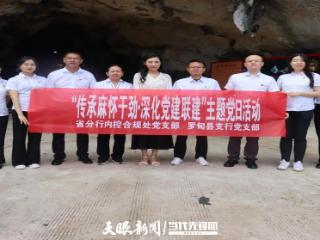 农发行贵州省分行内控合规处党支部、罗甸县支行党支部开展主题党日活动