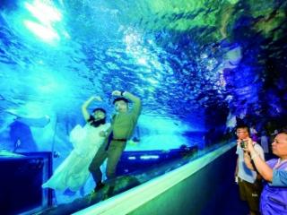 水下婚礼 别样浪漫
