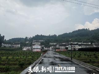世外桃源幸福村：银杏金黄引客来，民族和睦“留”人心