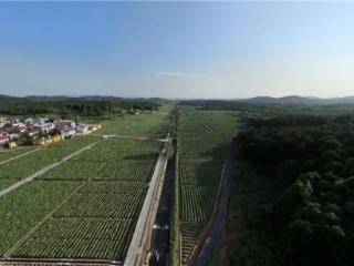 湖南桂阳：绿色赋能 守护蓝天