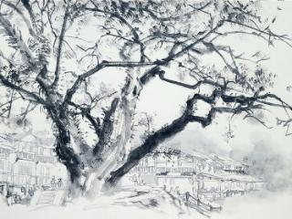 王磐德速写作品欣赏（九）：柳江之晨