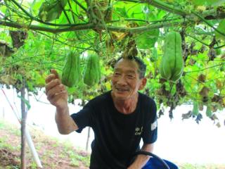 潍坊临朐：大山里的“致富瓜” 串起乡村振兴新图景