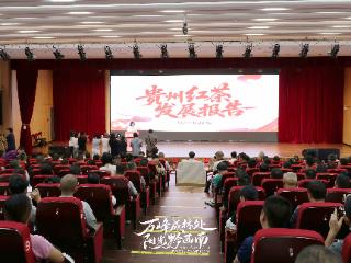 贵州红茶产量与出口均价位居全国第一