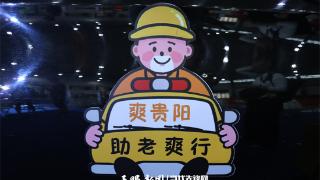 【2025数博会】数博会上的“暖科技”：让老人出门不再难、买药不再烦