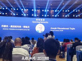 【2025数博会】尼日利亚-中国战略伙伴关系组织NCSP总干事约瑟夫·奥拉松坎米·特格贝：呼吁各国携手开拓数字市场新机遇