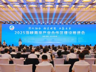 2025海峡两岸产业合作区建设推进会开幕 于海田出席并致辞