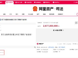 日钢铁斥资26.77亿元竞拍拿下西王466万吨钢铁产能指标