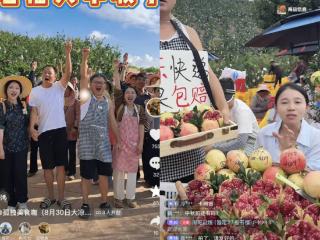 六年摸爬滚打、从赔20万元到日销万单……这对夫妻让会理石榴“红”透山外