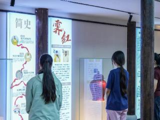 “霁光焕彩”让世界见证中国霁红瓷器之美：河南机电职业学院创新团队用青春解码千年霁红瓷传承