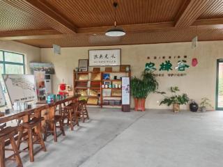 以自然为师，与芳香为伴：西农学子三下乡探秘农禅谷共富路