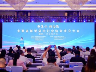 安徽成立新型显示行业协会 产业规模将达2000亿元