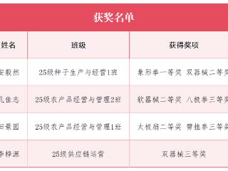 临沂科技职业学院武术队勇夺佳绩