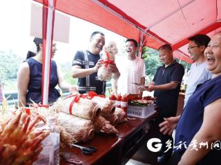 汇川：品特色农产、赏农事比拼、听稻田音乐，共庆丰收
