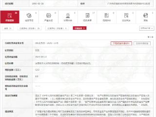 违反安全生产法，广东能洋电力建设有限公司被罚52万元