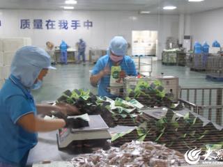 潍坊临朐：政策赋能 小山楂撬动大发展