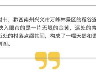 黔西南兴义：稻谷金黄 “丰”景如画