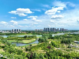 细管入微 智管赋能 众管聚力——平度市凤台街道环境整治提升从“面上净”升级为“全域优”
