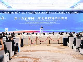 WFFTZ聚焦自由贸易与绿色智造出海，促进区域经济融合和全球绿色低碳发展