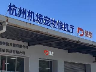 杭州启用华东首个宠物候机厅 “毛孩子”航空出行告别奔波