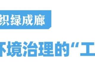 环境好、产业强！常州高新区的发展底色让人惊艳