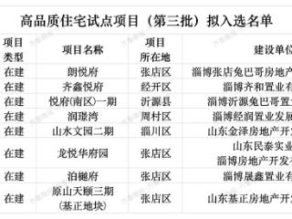 淄博8个！山东省第三批高品质住宅试点项目拟入选名单公示
