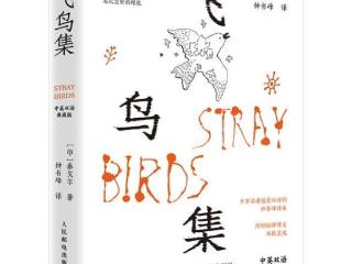 《飞鸟集》钟书峰译本深圳首发：一场跨越20年的翻译旅程