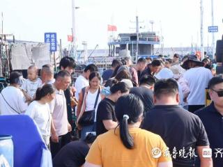 日照山海天：“海味”新鲜上岸，渔港一片繁忙