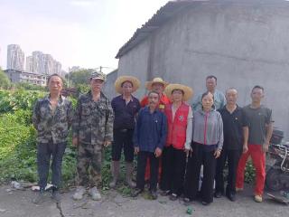 上饶茅家岭街道：人大代表勤助力，清障除草保畅通