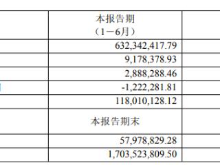 昂立教育2025财年上半年营收6.32亿元，同比增长11.84%