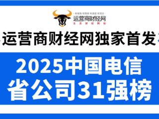 “2025中国电信省公司31强”出炉！营收规模超过200亿的有7个