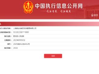 上海麦金地餐饮被列为被执行人，执行总金额超百万元