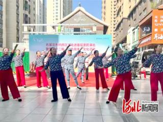 石家庄市桥西区：传统艺术展风采