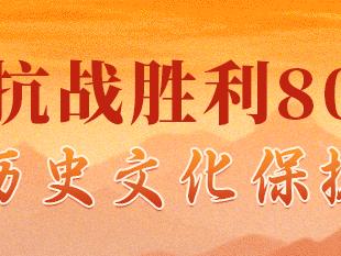 光明战场 一本你没见过的抗日小画书