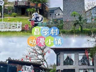 海口市龙华区龙桥镇“宣讲+实干”引路人系列活动之周末漫画特训班启动报名