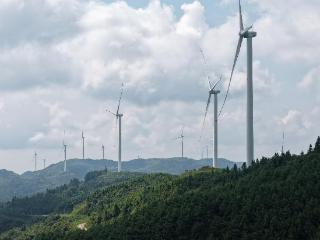 绿色金融赋能黔山贵水 邮储银行贵州省分行助力新能源产业绘就生态画卷