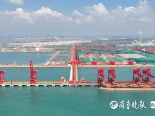 可靠泊40万吨，董家口港区港投万邦矿石码头通过竣工验收核查