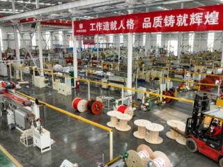 激活民企发展新动能 以“党建链”领跑“产业链”