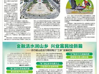 鄱阳湖观测到45只彩鹮（图）