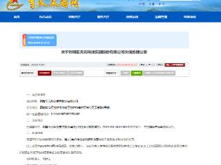 围标串标！网智天元科技集团股份有限公司被武警部队禁入3年
