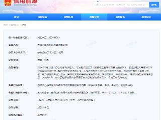 天津市电力科技发展有限公司违规被罚