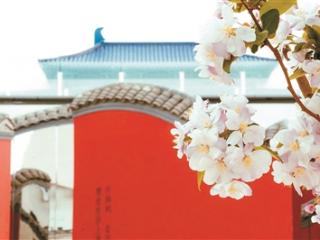 《只有红楼梦》文旅演艺不只是旅游附属品