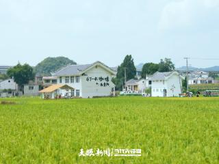 “我已经待了一个月！”贵州凭啥让重庆游客流连忘返