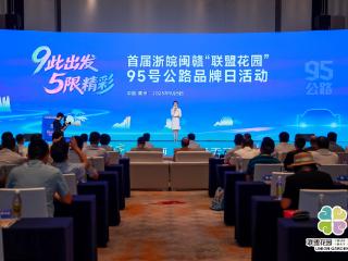 国民休闲自驾公路在哪？横跨浙闽赣皖四省的95号公路，周末等你来！